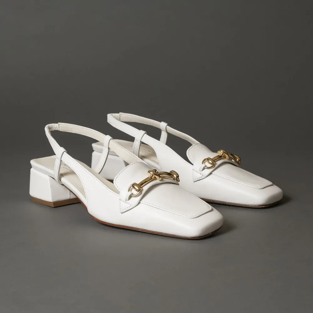 Conflict For Interest 546| Flats